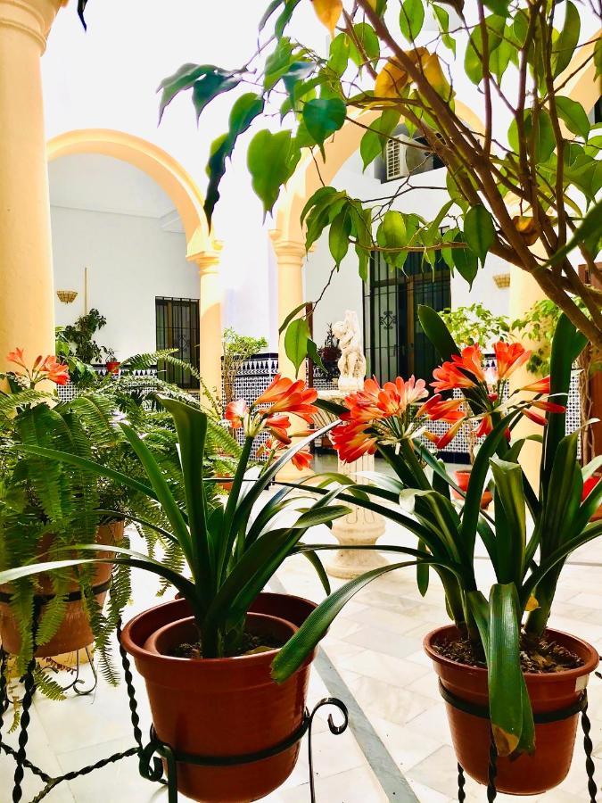 Fabuloso Loft En Centro Historico De Cordoba Con Parking Bajo Reserva Tendillas Mezquita-Catedral Exteriör bild